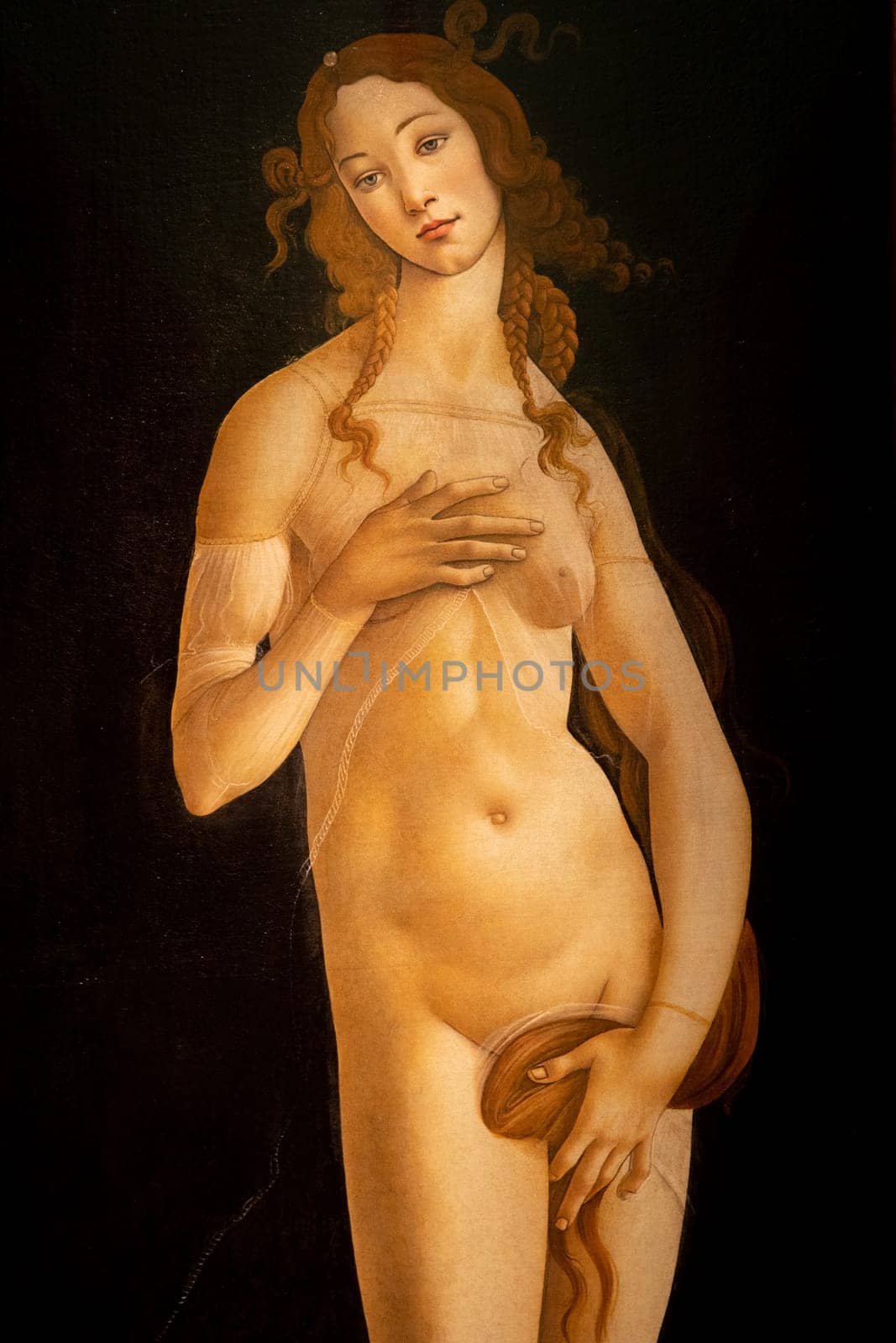 Turin, Italy - April, 2023: the painting of Venus by Sandro Botticelli, oil on canvas, 1490