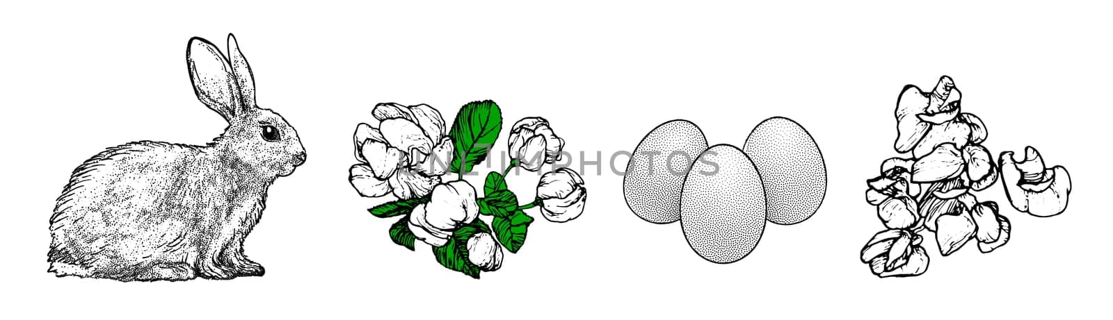 Graphical spring set isolated on white background