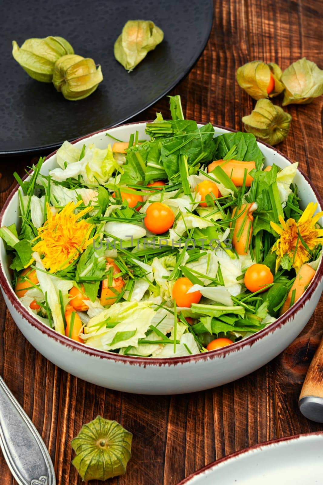 Spring salad with wild edible herbs, lettuce and physalis on rustic wooden table.