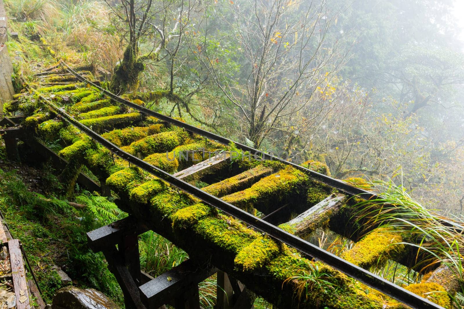 Hiking trail in Taipingshan of Yilan Jianqing Huaigu Trail