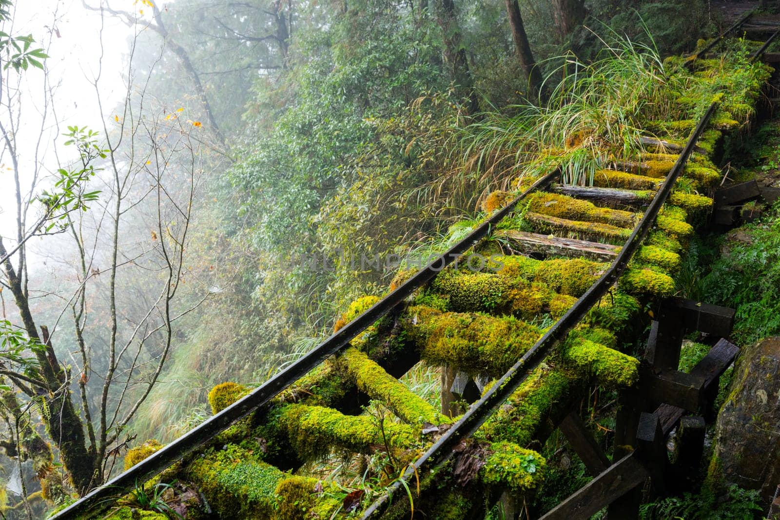 Hiking trail in Taipingshan of Yilan Jianqing Huaigu Trail