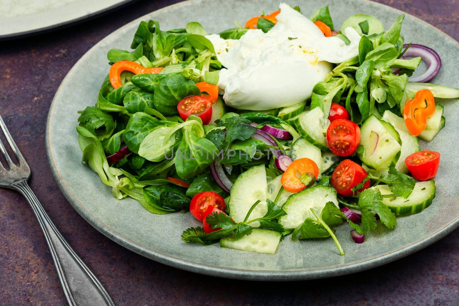 Italian salad of greens, tomatoes, cucumbers, peppers and fresh cream cheese Burrata. vegetarian Mediterranean diet food. Flat lay.