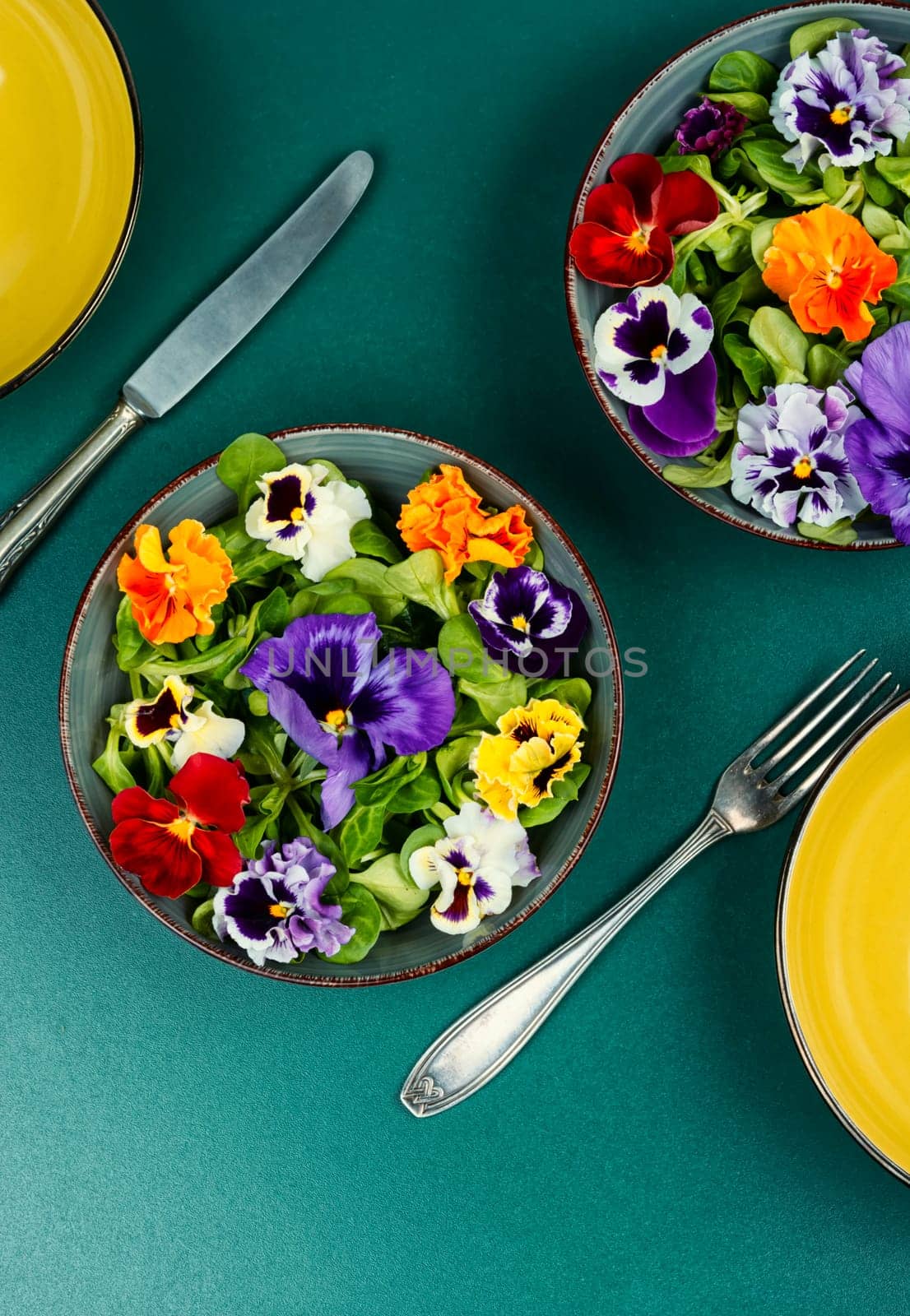 Spring seasonal colorful edible flower salad. Space for text.