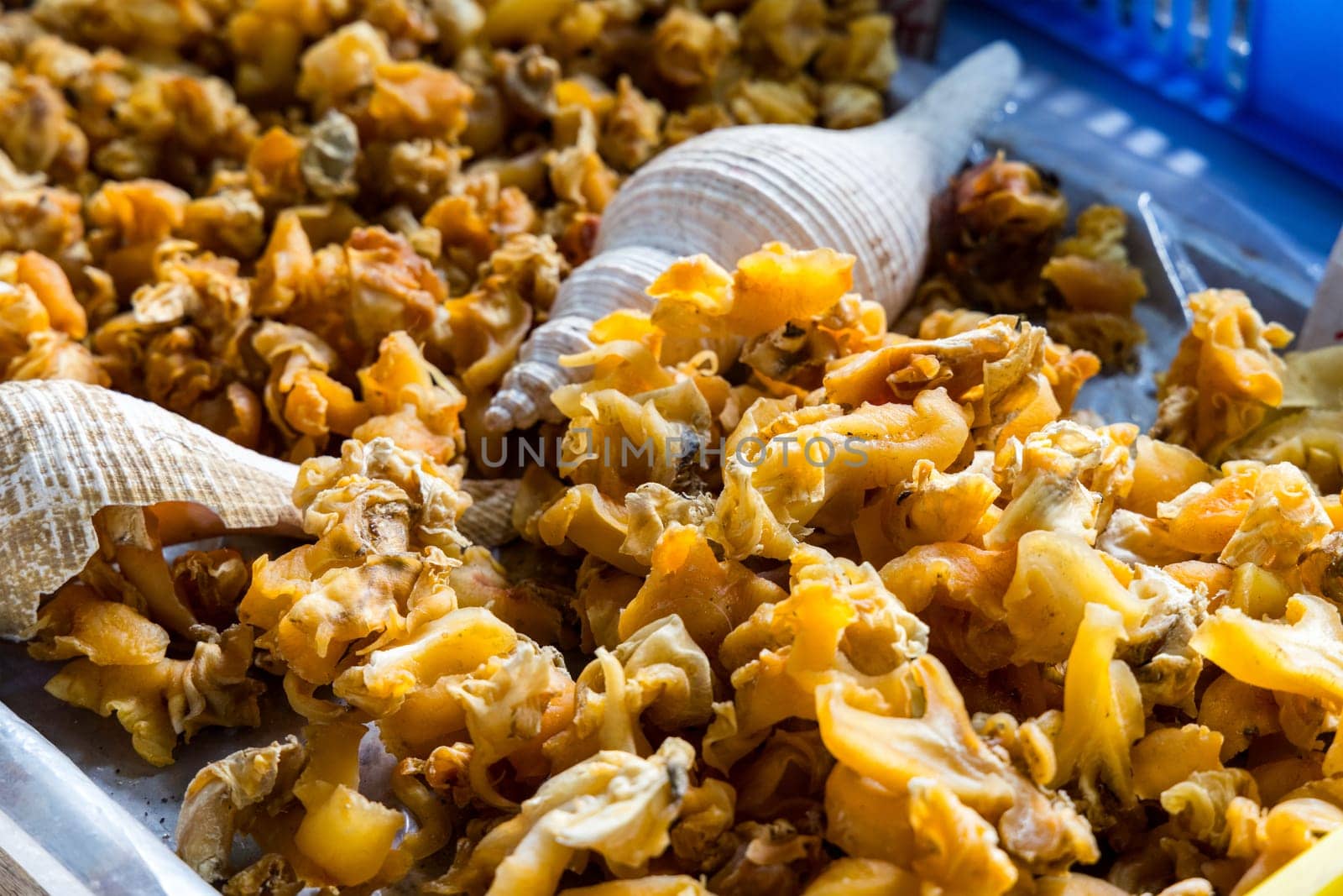 Dry conch sell in the seafood store