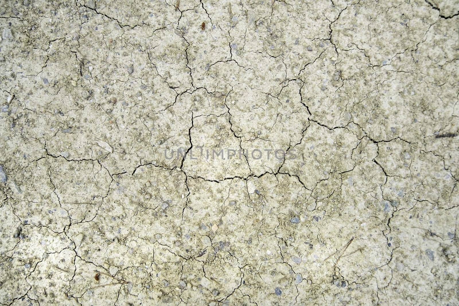 Detail of climate change and environmental destruction