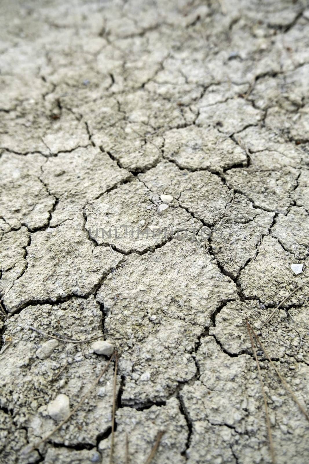 Detail of climate change and environmental destruction