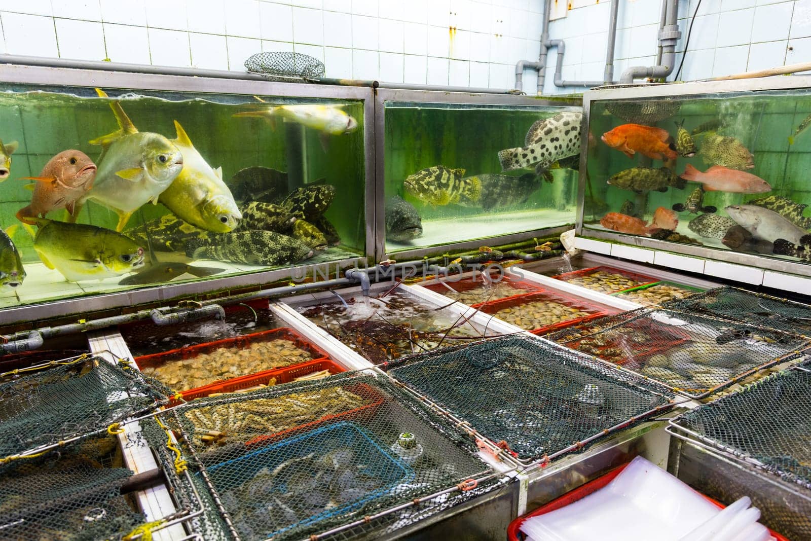 Seafood water tank outside the restaurant