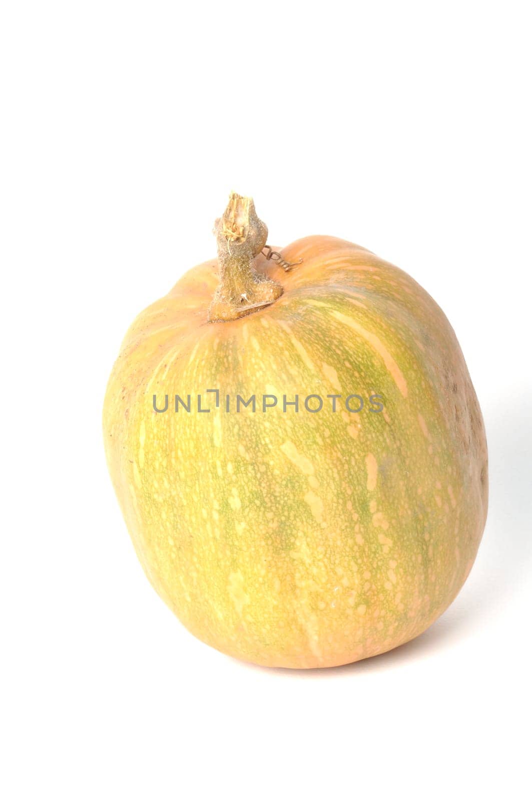 Squash on a white background