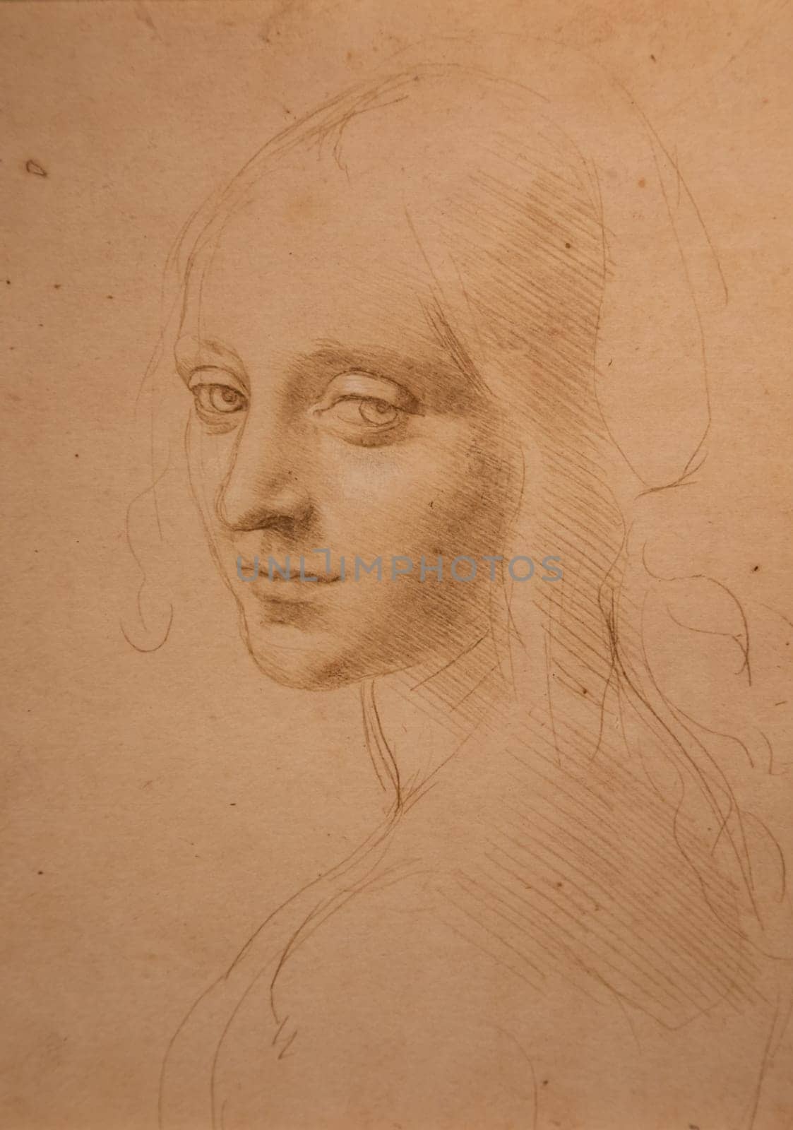 Turin, Italy - April, 2023: Leonardo da Vinci drawing, Royal Library - Face of a Girl, 1485