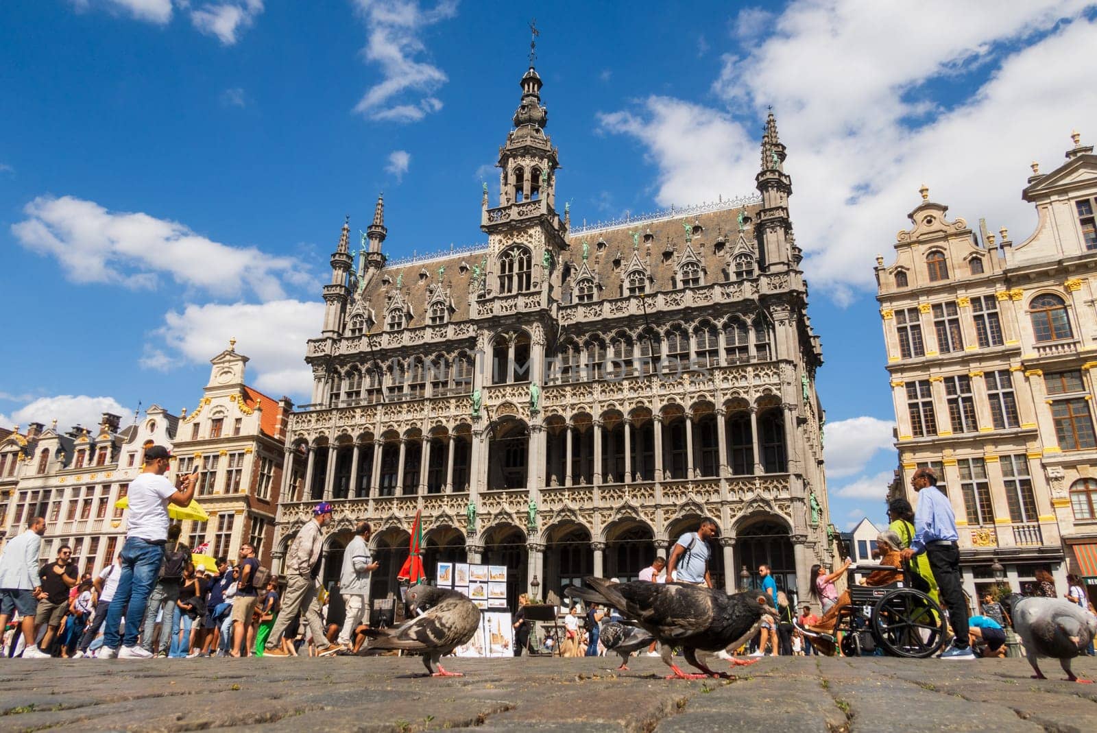 Brussels, Belgium - August 20 2022: Pigeons and tourists on the Grand-Place of Brussels. Photography taken in Belgium