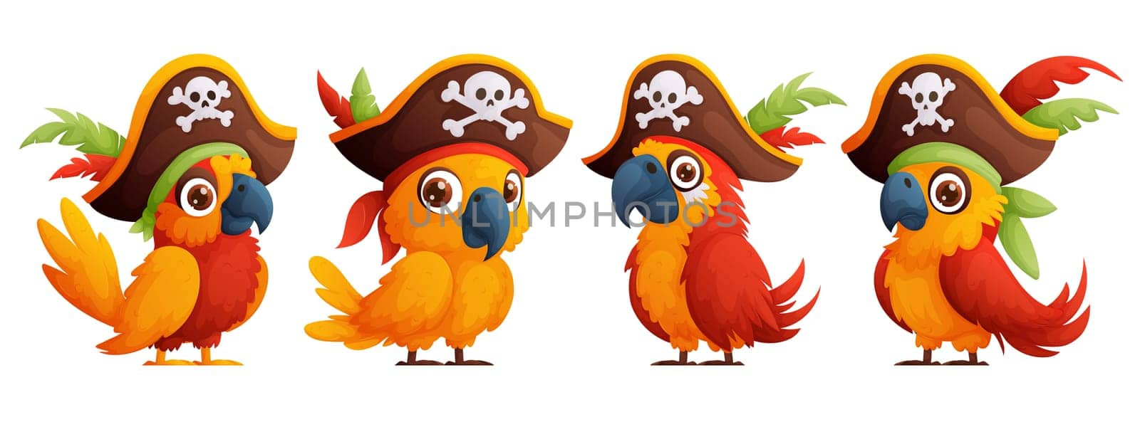Set of cartoon pirate birds in a ship captains hat. A cute and bright parrot in a large pirate hat.