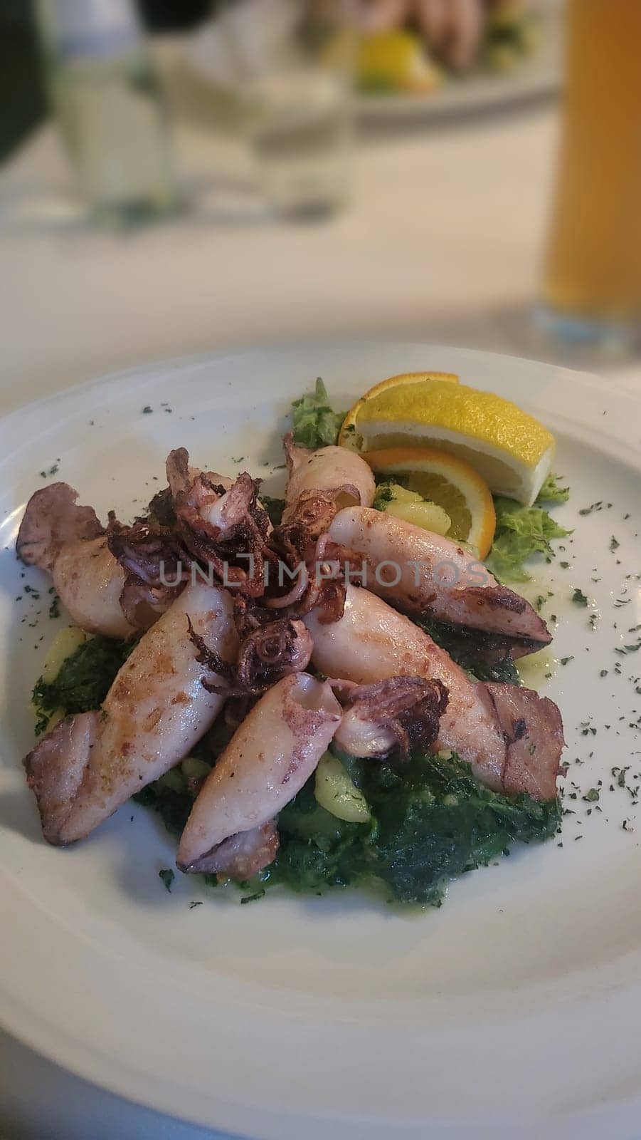 Fried squid tubes in breadcrumbs breading with lemon slices and lettuce leaves offered as closeup on a modern design plate