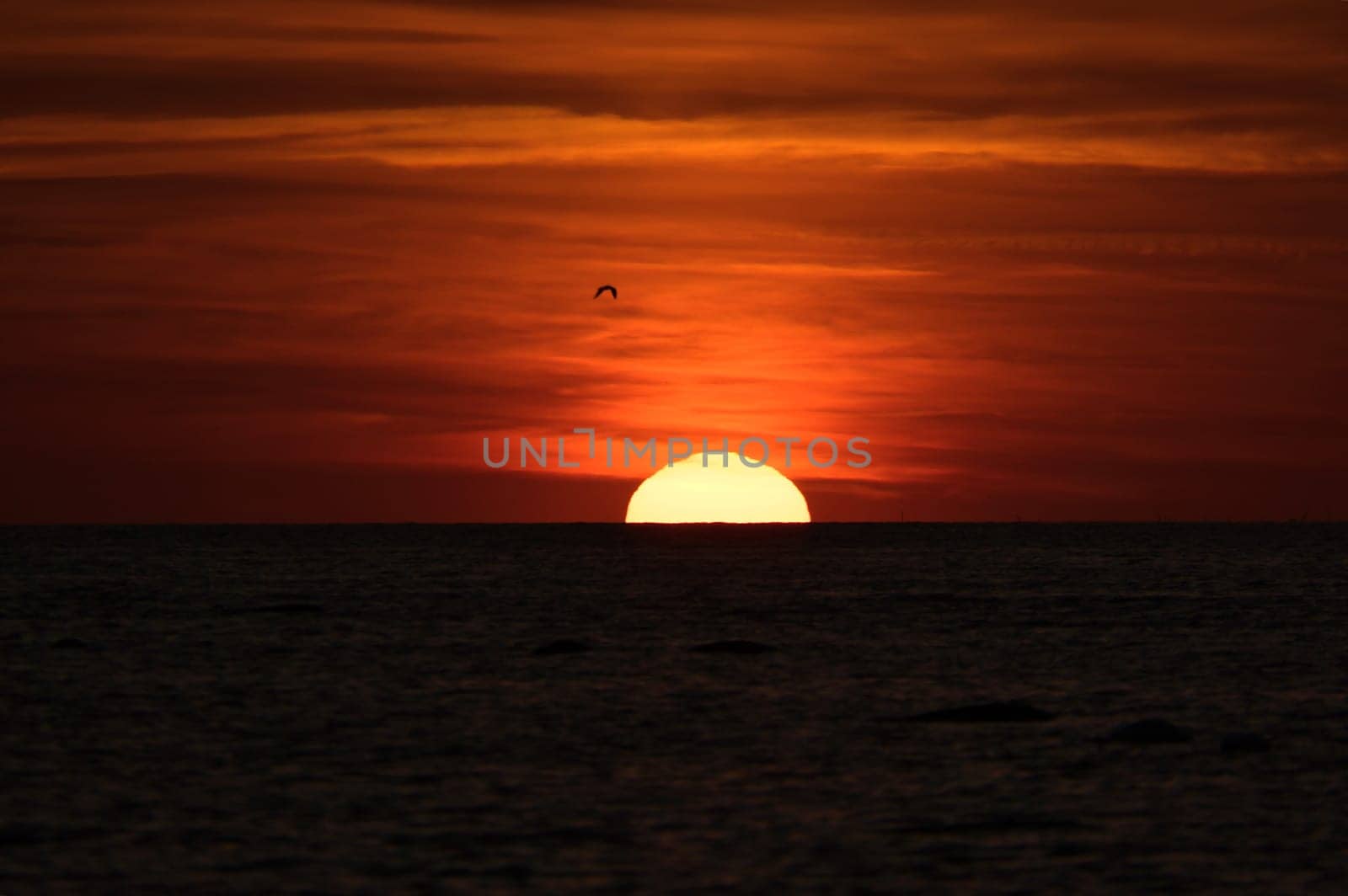 Sunset on the horizon of the Baltic Sea. Romantic evening atmosphere by the sea. Orange sun sinks into the water. Landscape photo