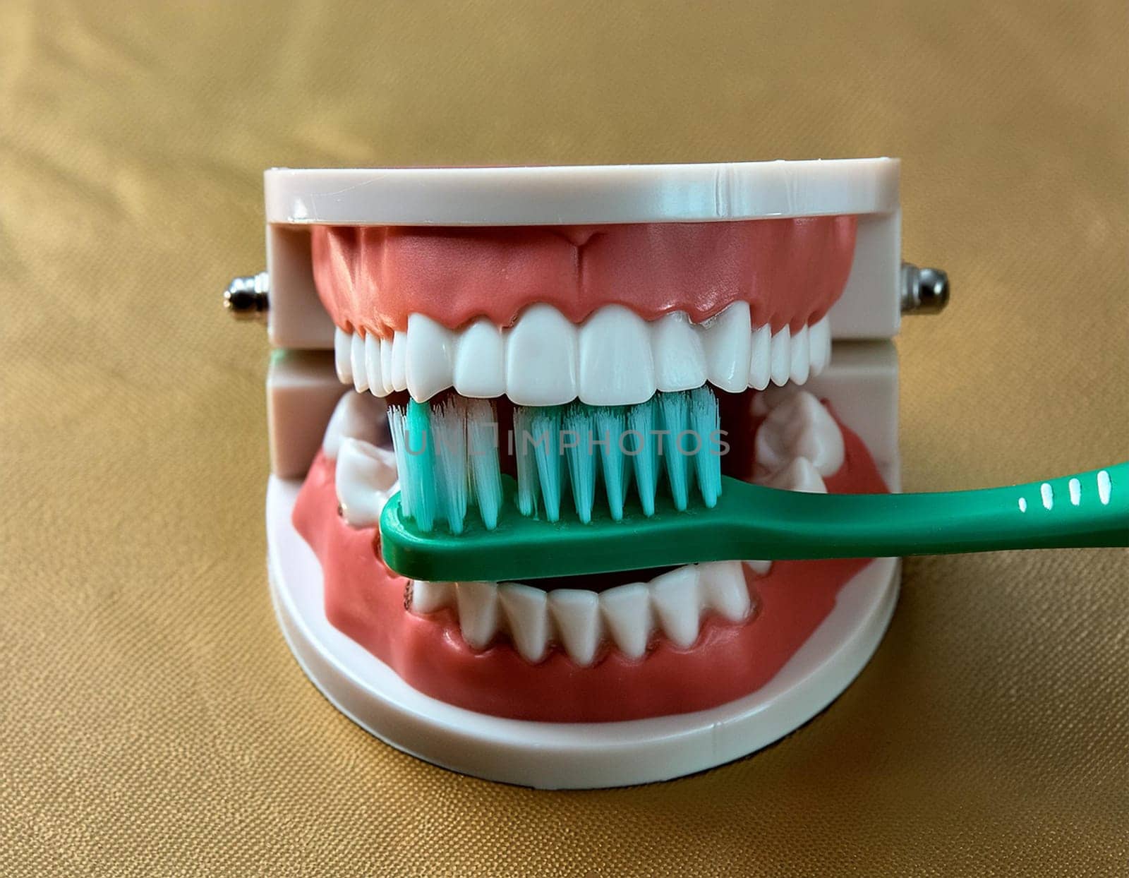 Use a toothbrush to clean partial dentures from replacement teeth.