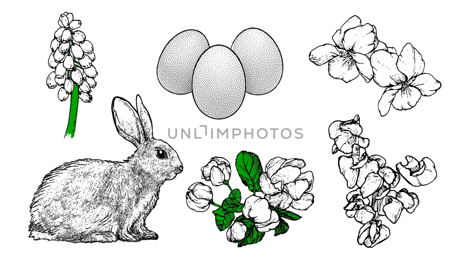 Graphical spring set isolated on white background