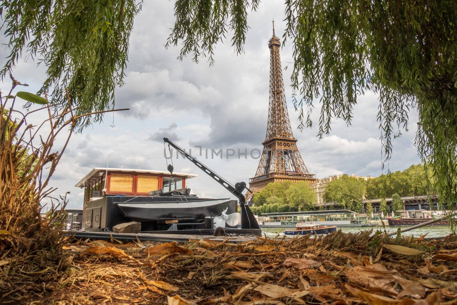 Eiffel Tower viewed from the ground of the banks of the Seine river on a cloudy day, above brown leaves of trees