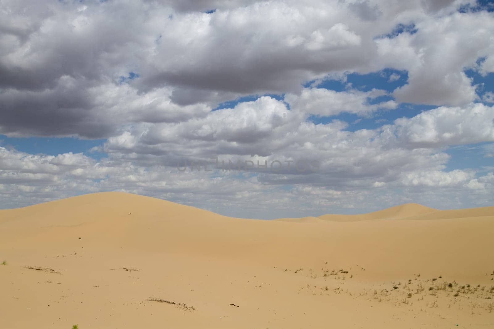 Tuyesu dunes landscape, Senek, Mangystau region, Kazakhstan. Desert landscape