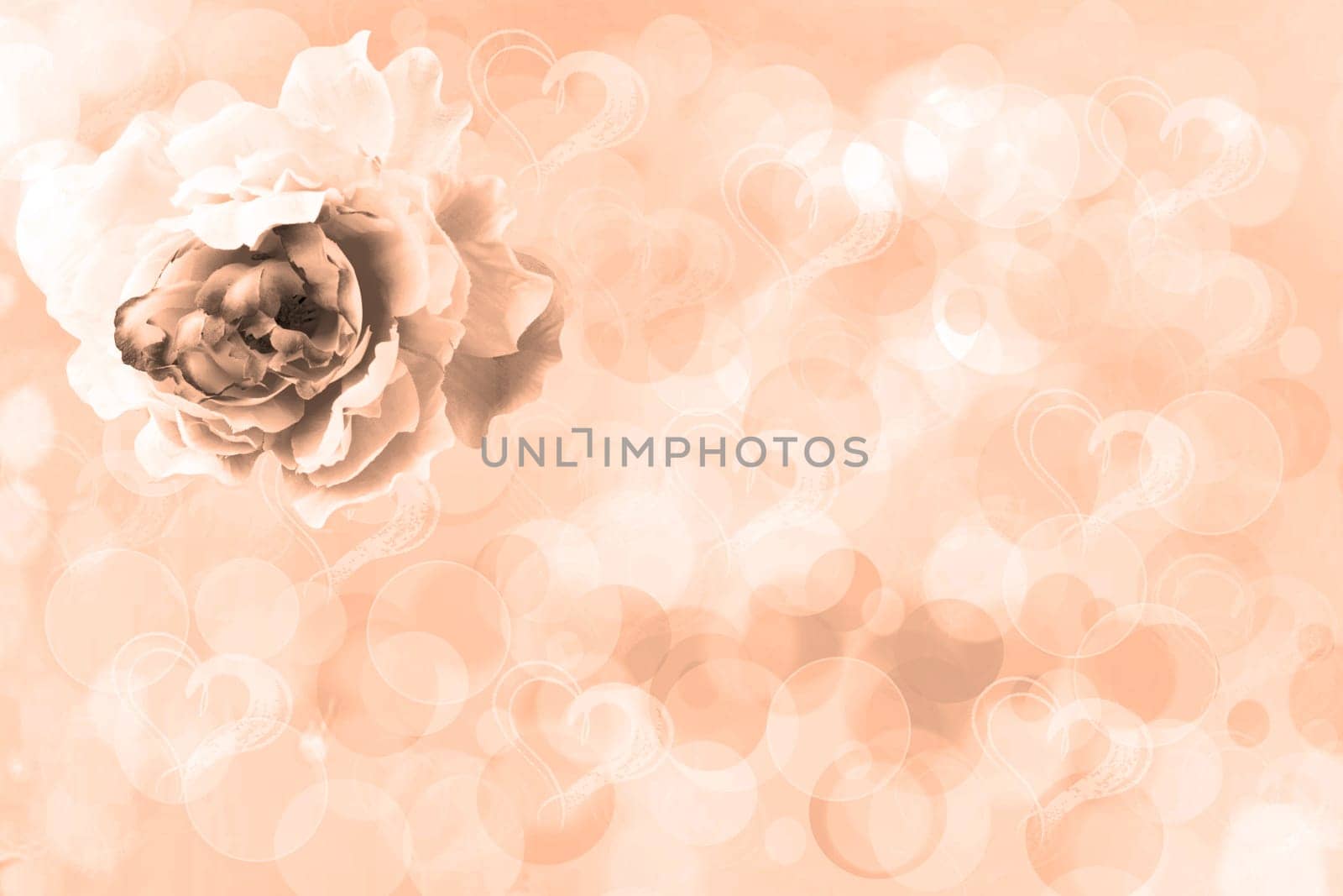 Greeting card template. A champagne brown greeting card with an artificial rose flower on an abstract heart background. Spring, valentine, mothers or wedding day. Copy space.