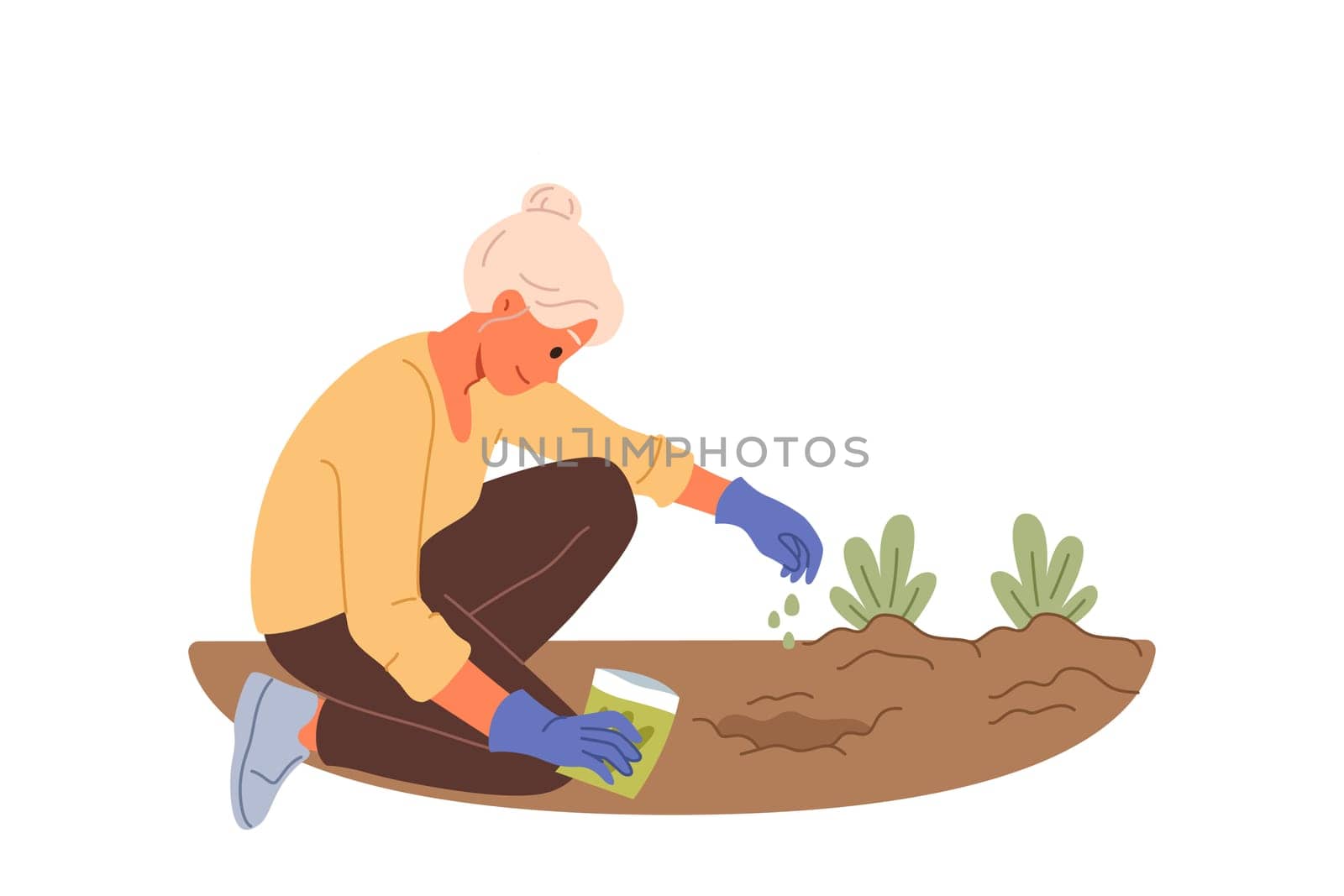 Elderly woman plants seeds in ground, planting flowers in garden or backyard of house. Old lady with seeds gets involved in vegetable gardening as hobby or saving money by getting fresh organic food