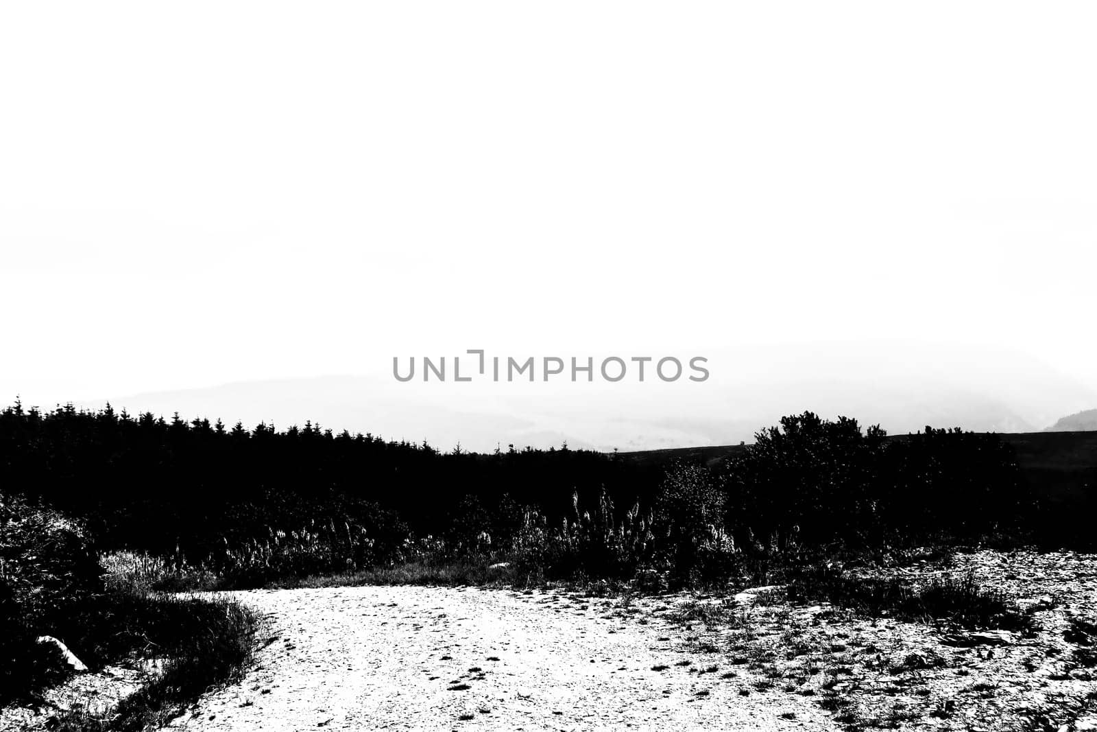 Black and White Digital Illustration Road into Landscape