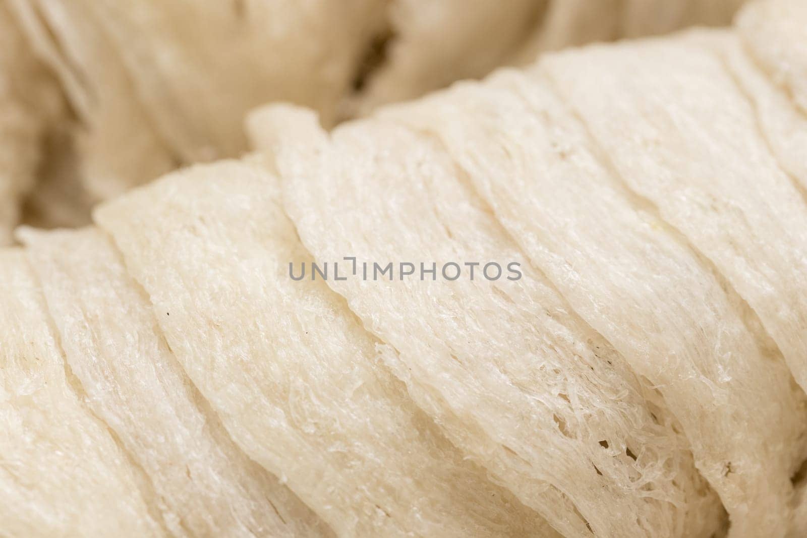 Raw Bird nest close up