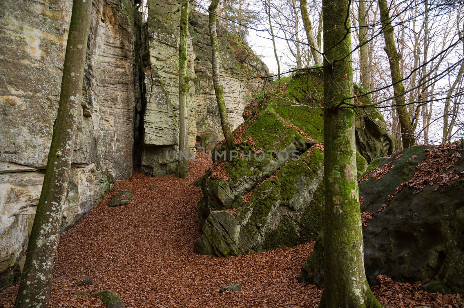 Devil Gorge at the Eifel, Teufelsschlucht with mighty boulders and canyon, hiking trail in Germany, sandstone rock formation, autumn