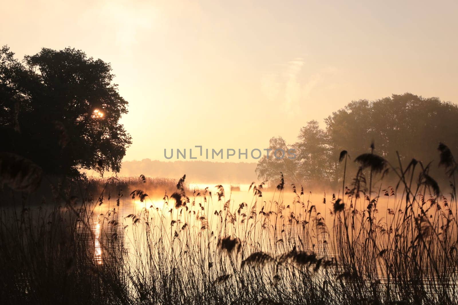 Sunrise over the lake in early spring