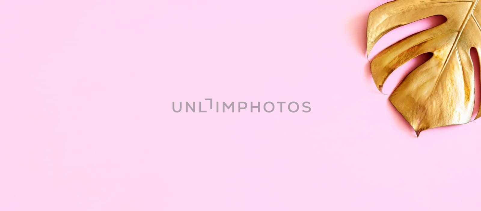 Golden monstera leaf on bright pastel background. Clean minimal flat lay design. Tropical gold foliage for trendy layout. Luxury fashion concept.