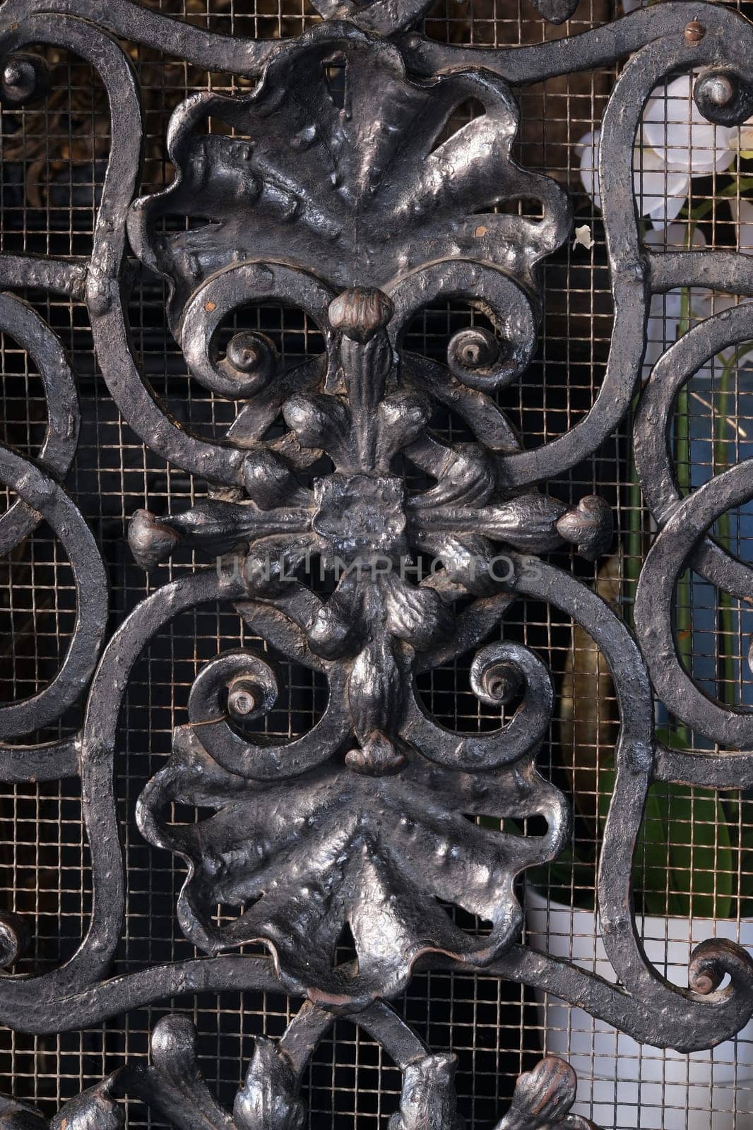 Wrought-iron gates, ornamental forging, forged elements close-up