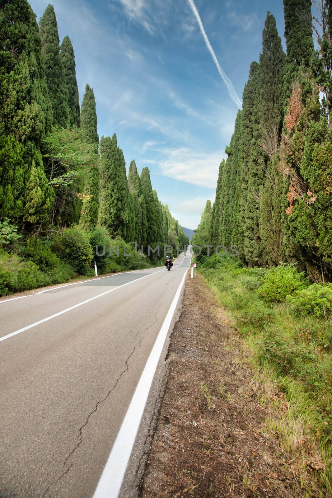 Tuscany, Italy. Asphalt line in nature, panoramic road to travel destination Bolgheri
