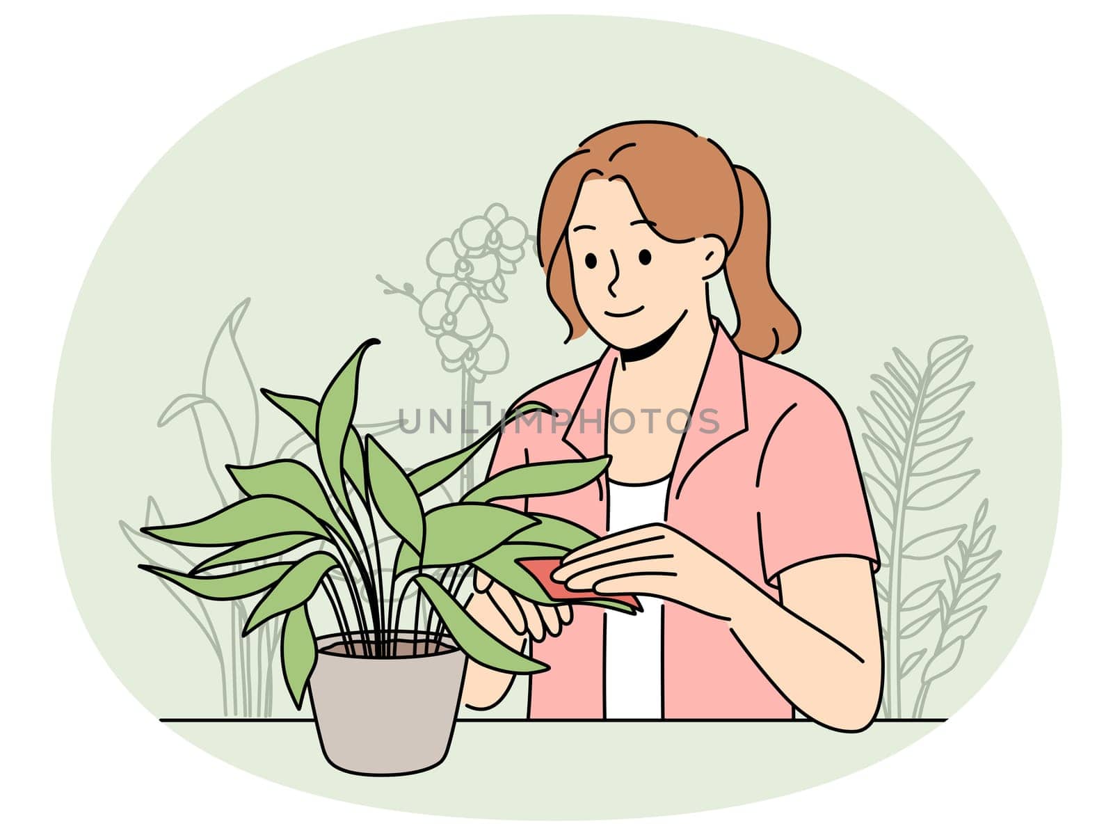 Smiling woman clean leaves on houseplant. Happy girl take care of plant at home. Gardening and hobby concept. Vector illustration.
