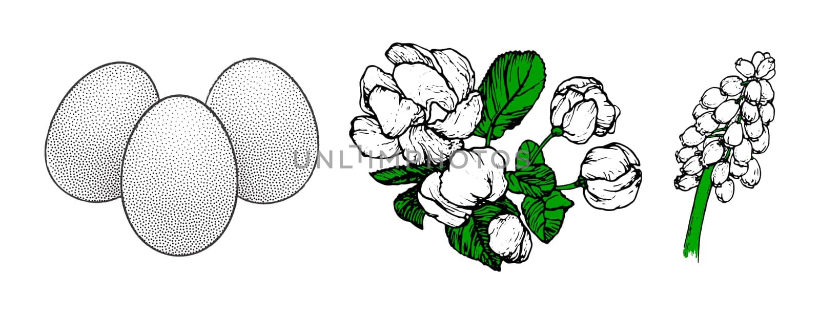 Graphical spring set isolated on white background