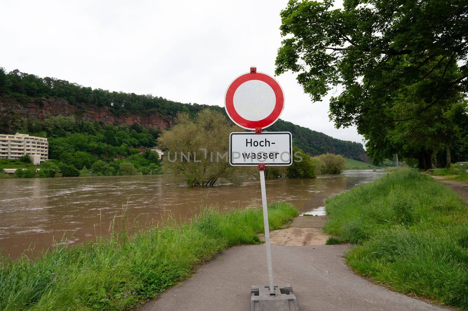 Flood of the river Moselle, Trier in Rhineland Palatinate, flooded trees and paths, high water level, climate change