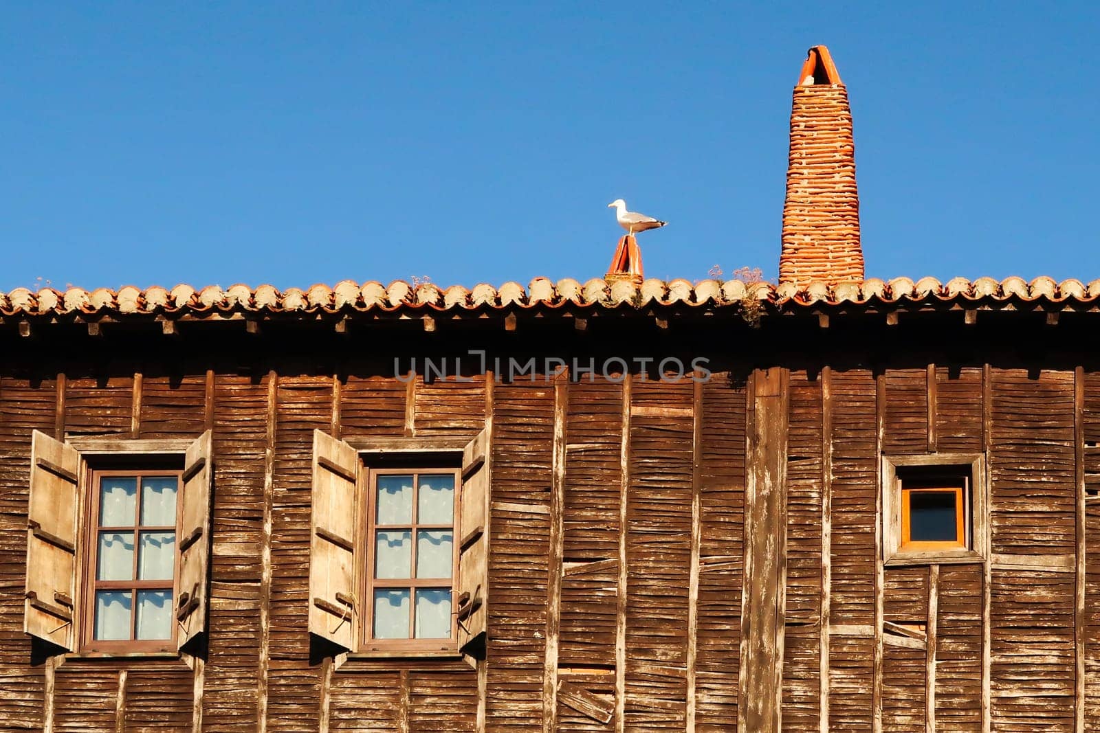 Seagull sitting on the roof of a traditional house with a wooden facade in the old town of Sozopol, Sosopol a coastal town at the black sea Bulgaria 2022