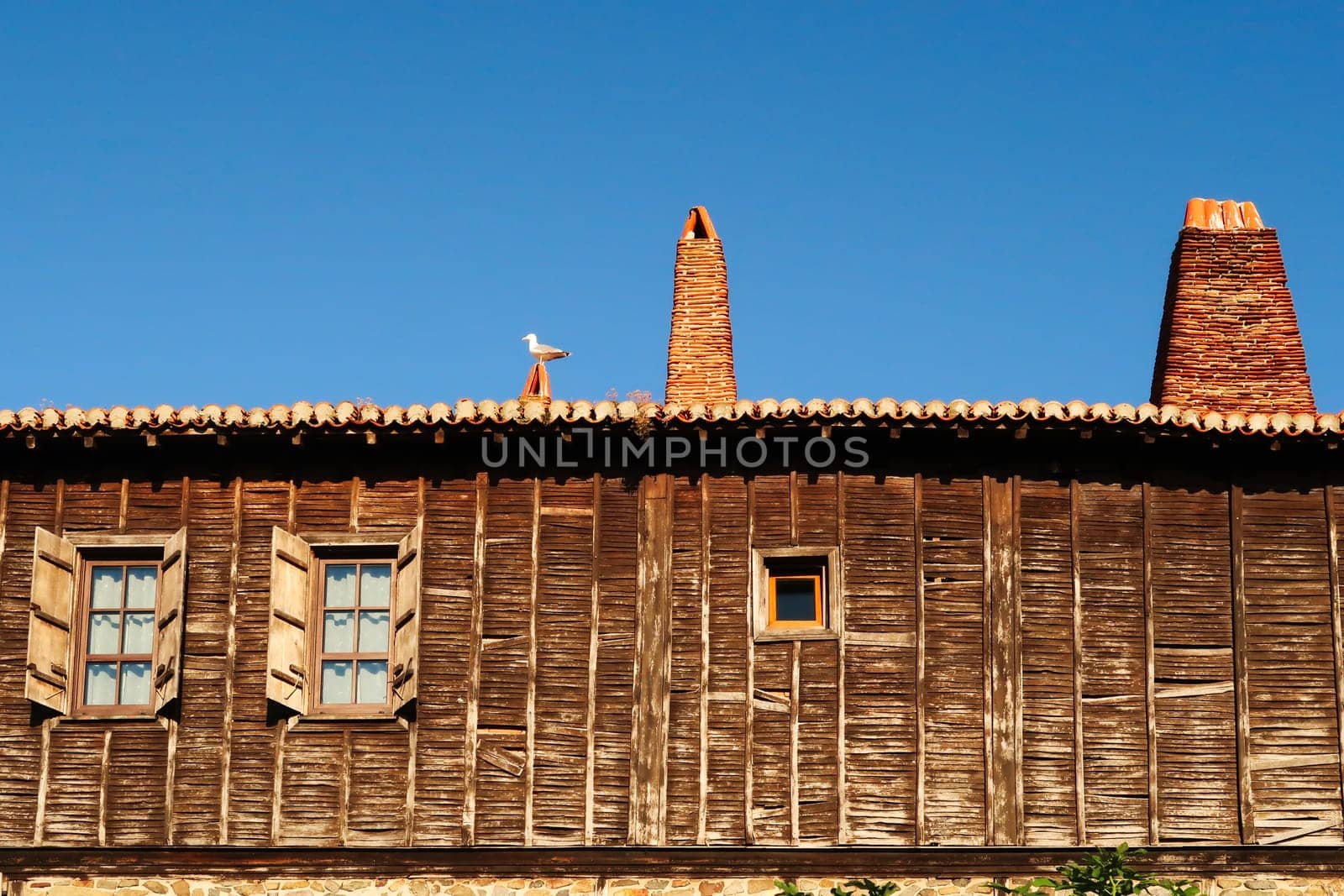 Seagull sitting on the roof of a traditional wooden house in the old town of Sozopol, Sosopol a coastal town at the black sea, Bulgaria 2022