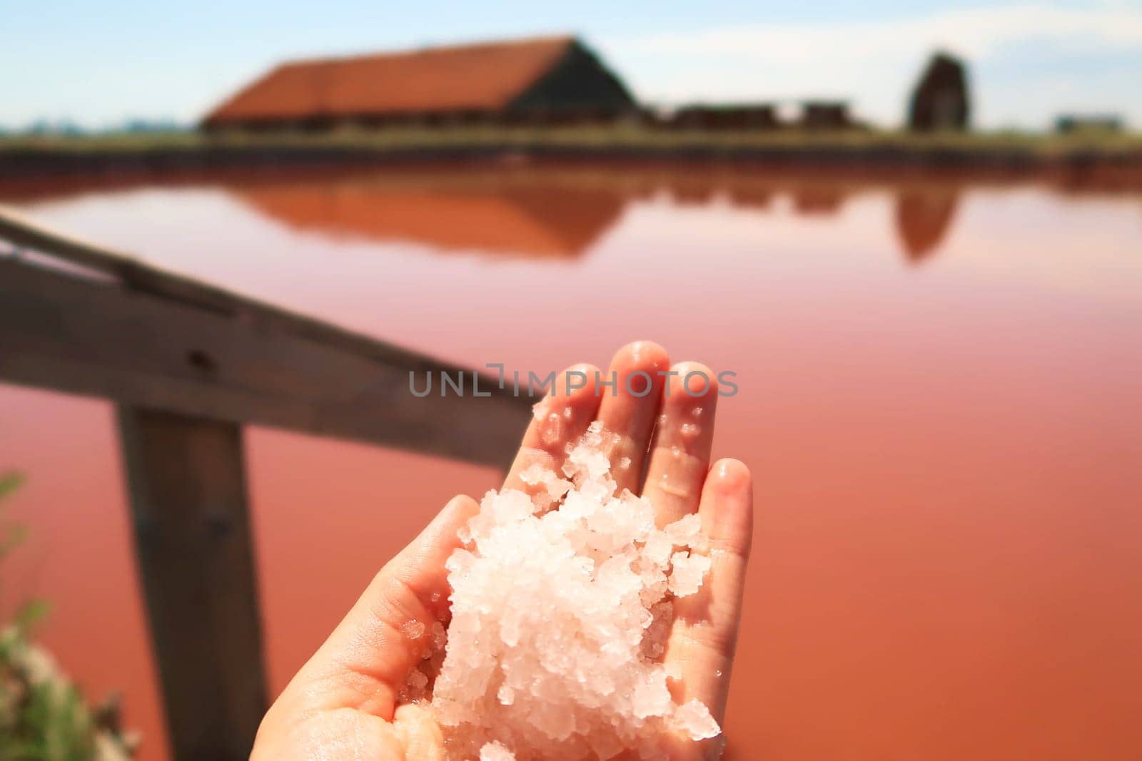 Hand holding salt in front of the main bathing, swimming pool with intense pink color at the Burgas Salt Pans, Lake Atanasovsko, Atanasovo, Burgas, Bourgas, Bulgaria 2022