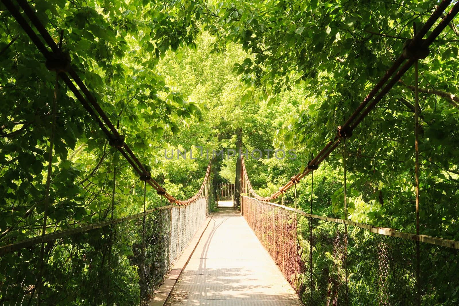 Walking over the Mavrikov Rope Bridge, a small metal pedestrian suspension bridge over the Yantra River surrounded by a lush and dense forest of an intense green color, Veliko Tarnovo, Bulgaria 2022