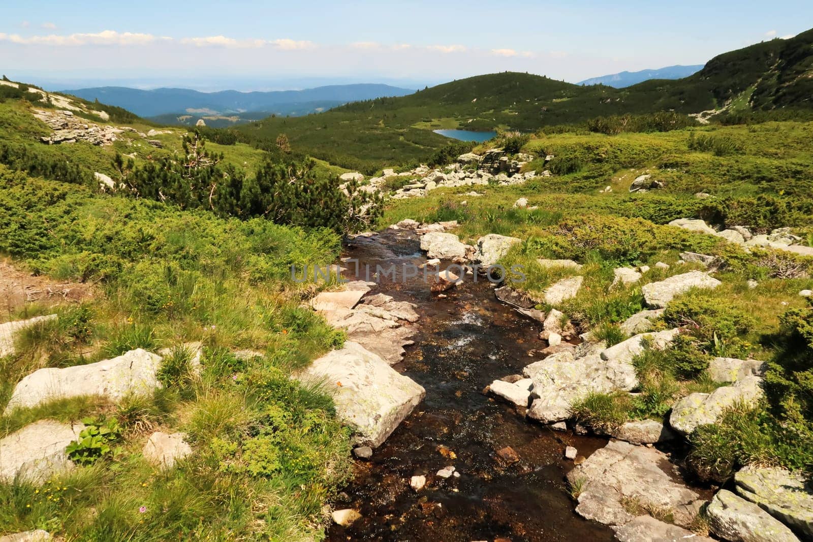 A small river, stream, creek is running through the lush, green vegetation of the Rila National Park ending up in the Lower Lake, Lower Lake, Dolnoto Ezero, one of the Seven Rila Lakes, close to Sofia, Bulgaria 2022