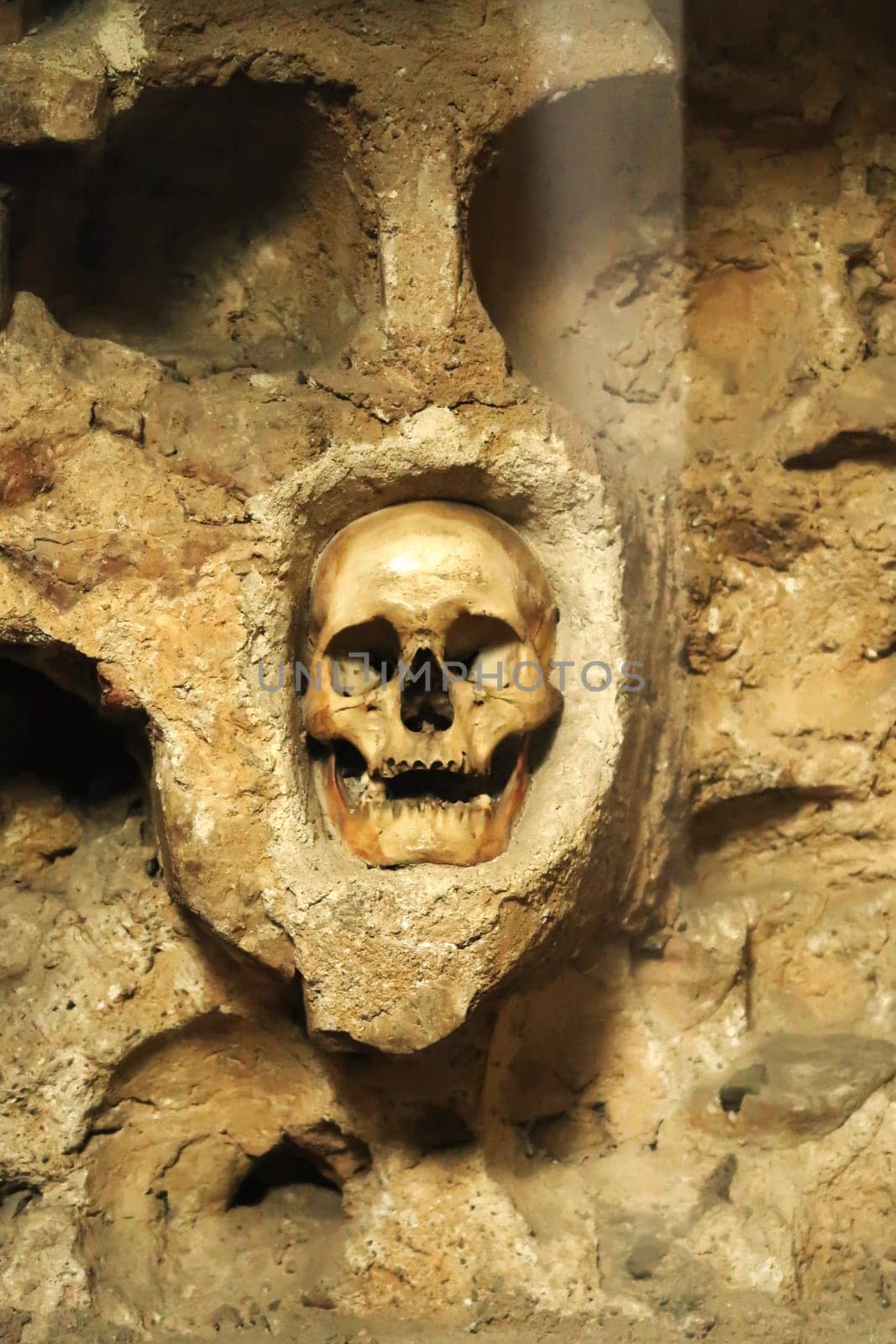 One of the remaining skulls in the Skull Tower, a stone structure in which hundreds of human skulls were embedded by the soldiers of the Ottoman Empire, Nis, Serbia 2022