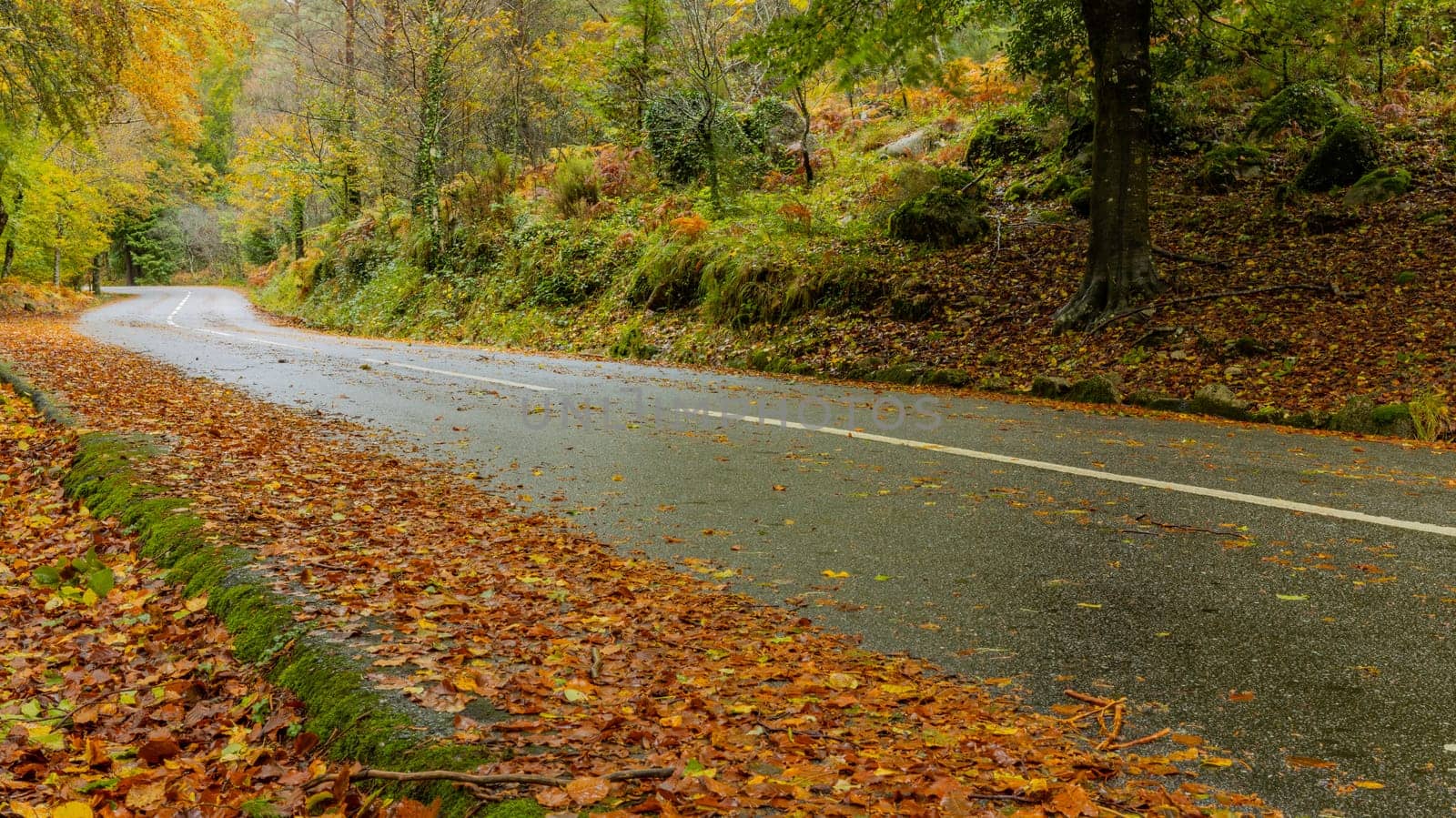 Autumn landscape at Geres National Park, Portugal