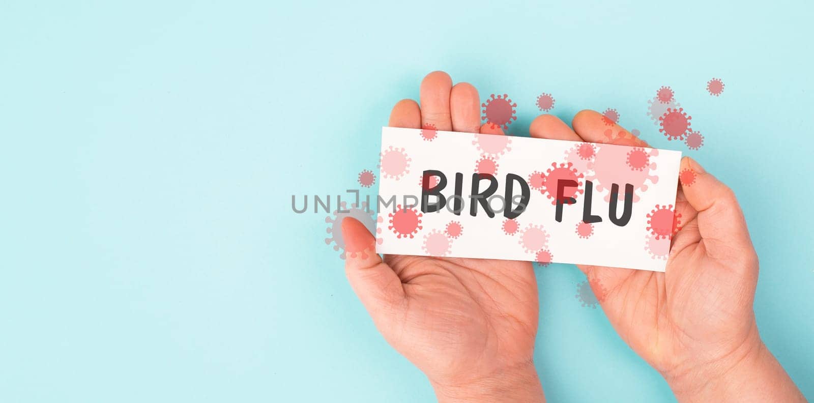 Bird flu virus outbreak, Avian influenza, infectious disease spreading to mammals and humans, sick animals