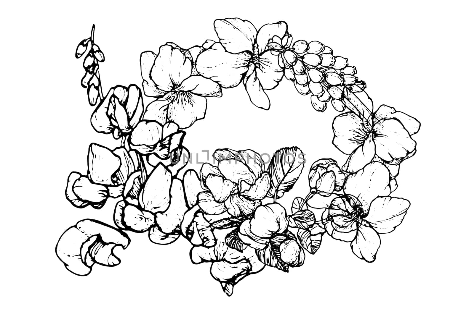 Floral wreath. Flower arrangement vector
