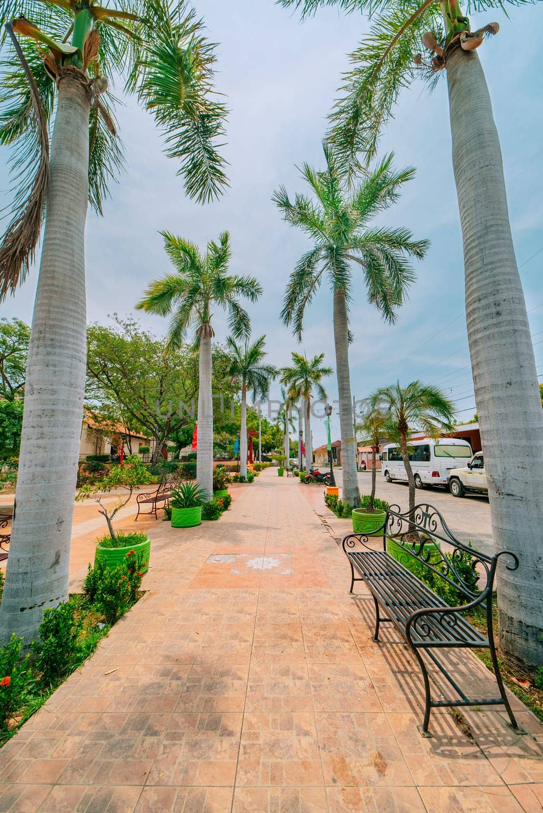 Path through a park surrounded by palm trees. Beautiful view of Nagarote central park surrounded by palm trees.