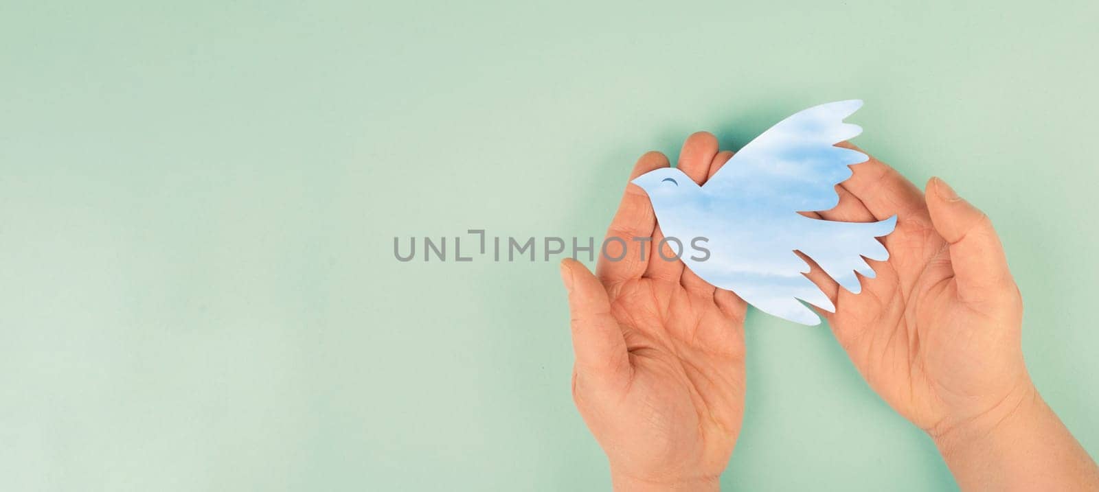 Dove flying from hand, international peace day, faith, freedom, charity and help concept, humanitarian aid, world map