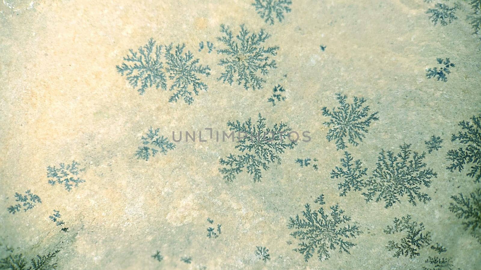 Faded stone surface with a natural natural pattern.Macrophotography.Texture or background.