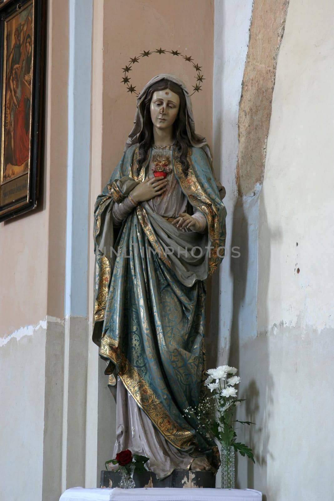 Immaculate Heart of Mary, statue in the Church of St. Mary Magdalene in Cazma, Croatia