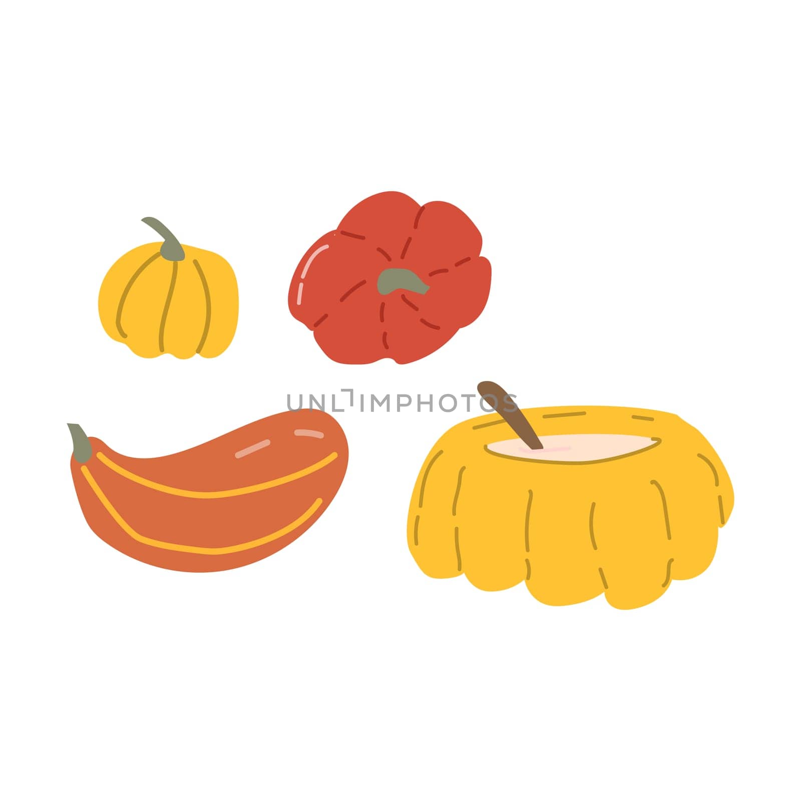 Autumn fall thanksgiving elements set with harvest icons. Collection of fall vegetable pumkin. Hand drawn autumn food vector illustration