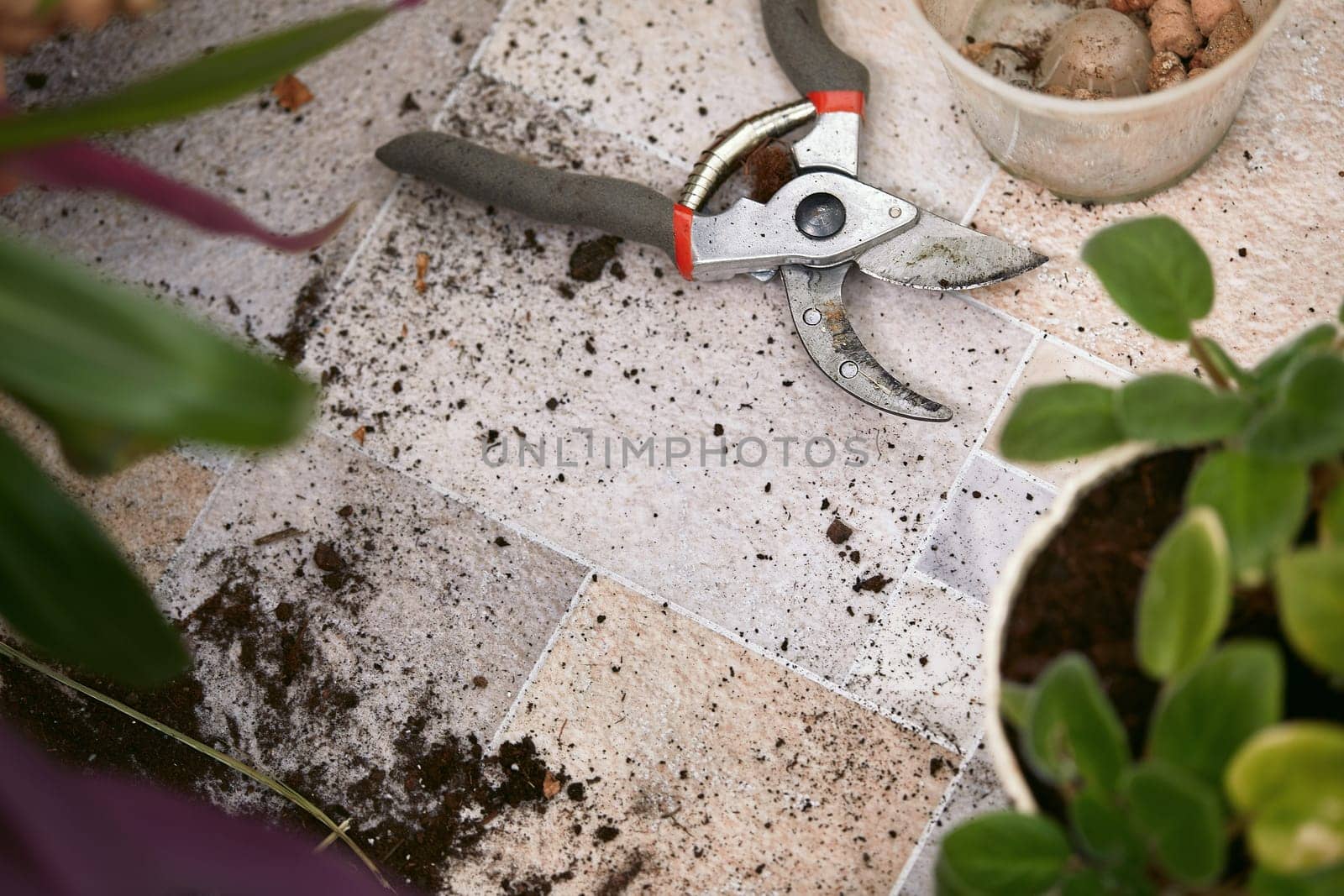 garden secateur and plant pots. home gardening. Top view.