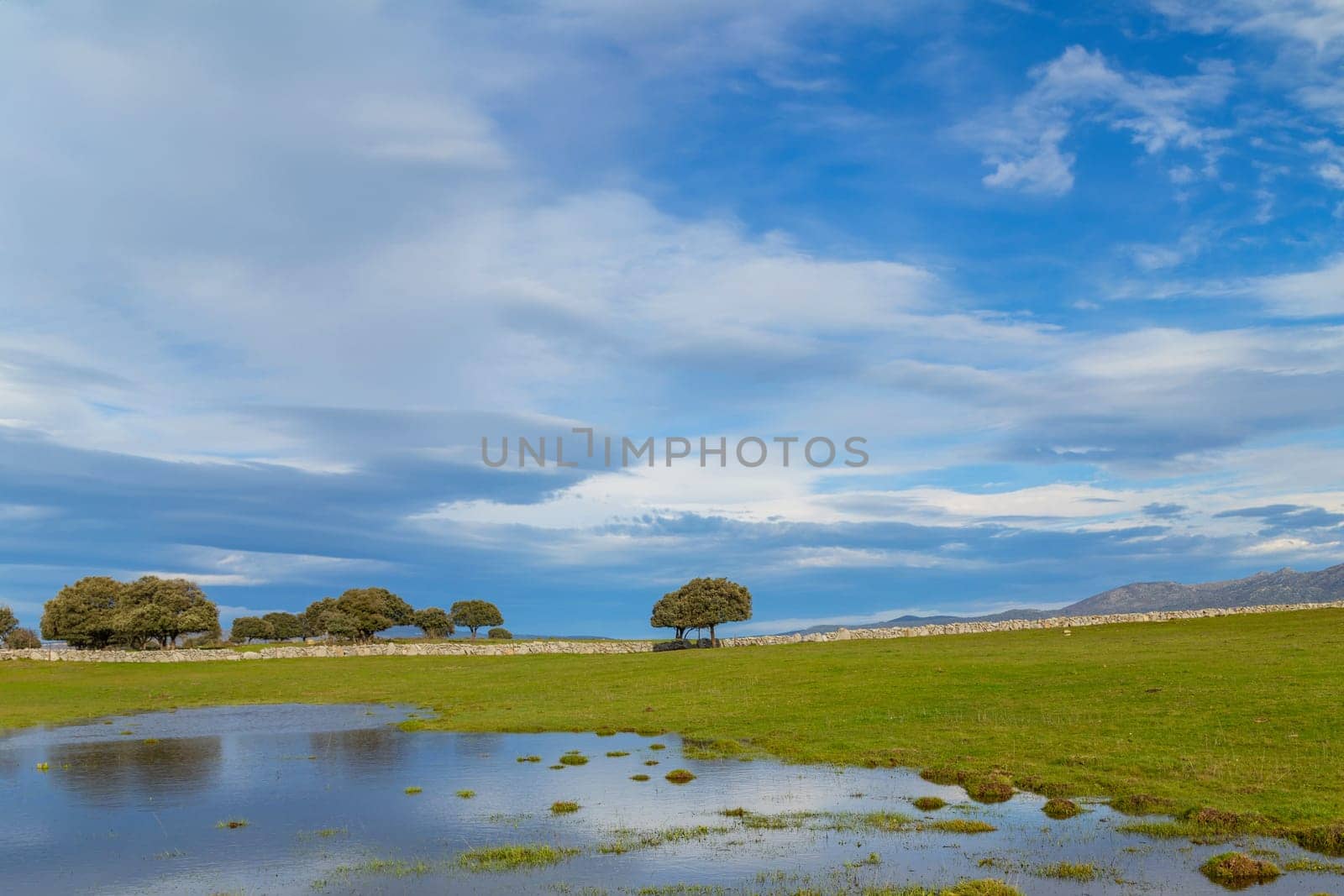 Landscape with trees reflected in water near Arroyo de la Luz. Extremadura. Spain.