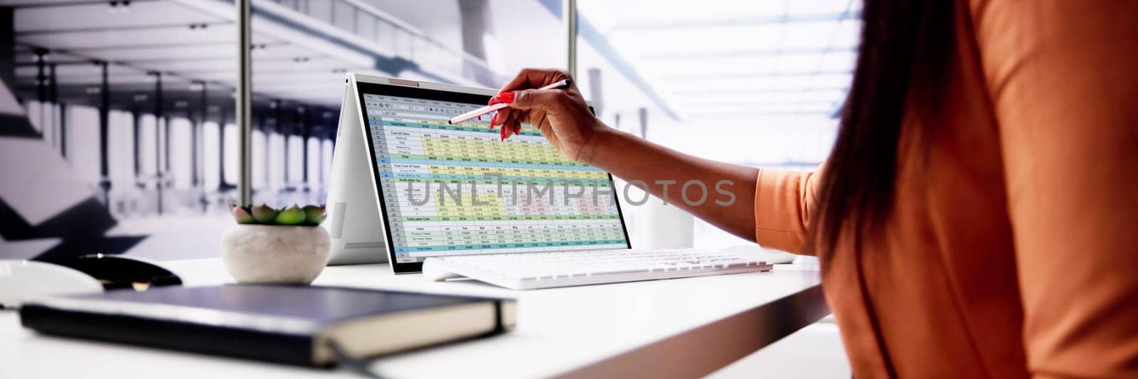 Computer Spreadsheet Data Analyst Woman Using Multiple Screens